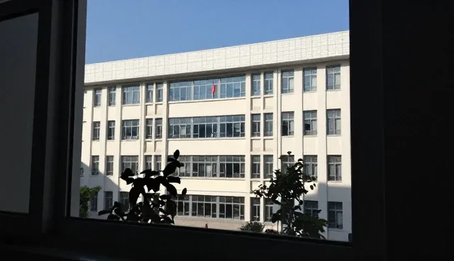 行业分类导航:检查要点组织的常见问题与处理方法